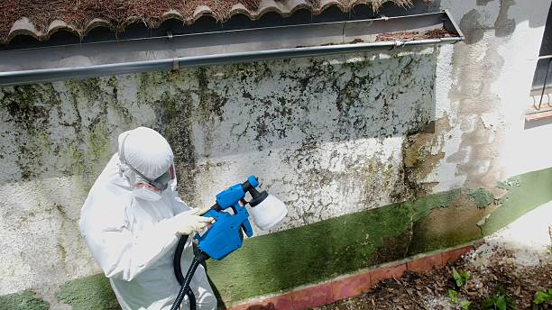 Top rated local Mold Remediation specialists in Osterburg, PA